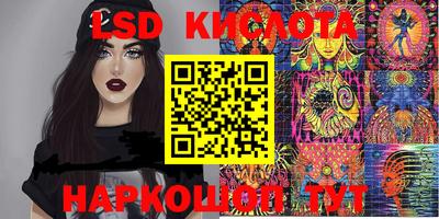 прущие грибы Будённовск