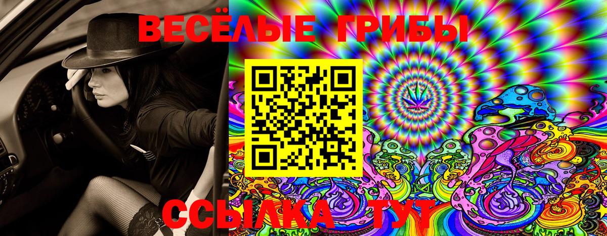 Наркошоп  Гашиш  Каннабис  АМФ кристаллы  Экстази  Нарьян-Мар  COCAIN  Вход с VPN  Codein  МДМА  Меф  