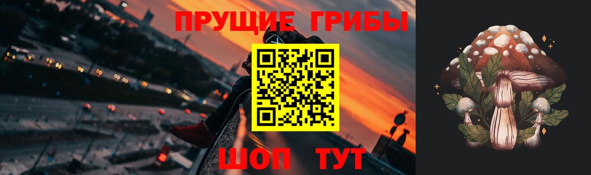 Нарьян-Мар  Псилоцибиновые грибы GOLDEN TEACHER  Вход с VPN 